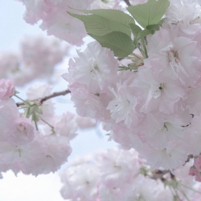 大竹福瑞交流群